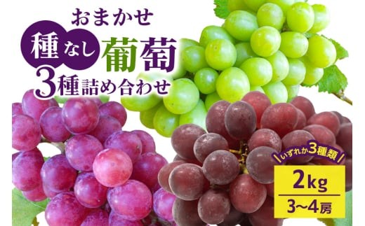 【 2025年 先行予約 】 おまかせ 種なし 葡萄 3種 詰め合わせ 2kg 開田ぶどう園 3房 ～ 4房 種無し 品種 お任せ 食べ比べ セット ぶどう ブドウ 果物 くだもの フルーツ 2キロ 9月 10月 発送 秋 旬 茨城県産 産地直送 産直 農家直送 冷蔵 茨城県 石岡市 (A01-010)