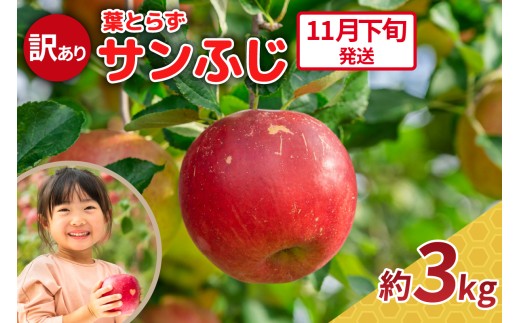 【2025年11月下旬発送】りんご 3kg 程度 葉とらず サンふじ 11月 12月 訳あり 青森産 りんご ふじ 【 サンふじりんご 葉とらずりんご リンゴジュースやお菓子作りにも くだものフルーツ果物林檎約3kg 】