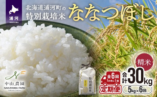 【先行受付開始！】浦河の特別栽培米「ななつぼし」精米(5kg×1袋)定期便(全6回)[37-1490]