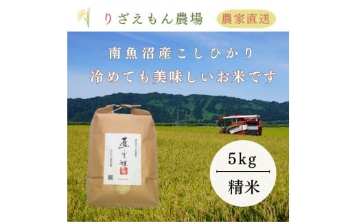 《新米予約受付》白米5kg  令和７年産　南魚沼産こしひかり　魚野川流域　匠 雲蝶(たくみ　うんちょう） ＼生産農家直送／【2025年10月上旬より順次発送予定】 460552 - 新潟県南魚沼市