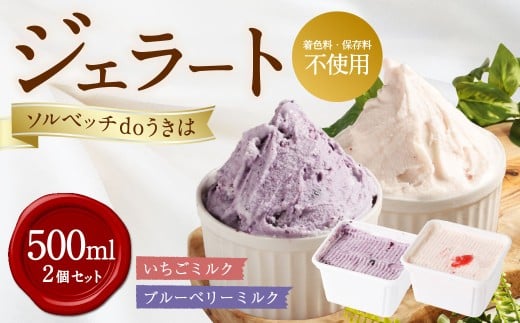 ソルベッチdoうきは ジェラート500ml×2個セット フルーツ ミルク スイーツ デザート ジェラート シャーベット アイス いちごミルク ブルーベリーミルク セット 冷凍 福岡県 うきは市 1497886 - 福岡県うきは市