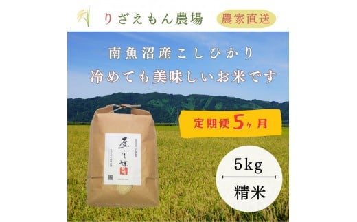 《新米予約受付》【定期便5回×5kg《合計25kg》】令和７年産　南魚沼産コシヒカリ　白米5kg＼生産農家直送／【2025年10月上旬より順次発送予定】 514185 - 新潟県南魚沼市