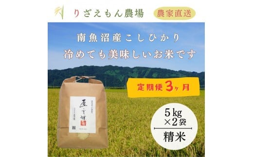 《新米予約受付》【定期便3回×10kg《合計30kg》】令和７年産　南魚沼産コシヒカリ　白米10kg＼生産農家直送／【2025年10月上旬より順次発送予定】