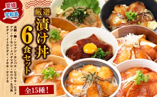 ＼10営業日以内発送／ 漬丼 厳選 活締め 全15種  お任せ 漬け丼 6食 セット 南予ビージョイ 真鯛 鰤 シマアジ カンパチ ヒラマサ ヒラメ アジ サーモン メバチマグロ サワラ 太刀魚 チダイ イトヨリダイ イサキ ヤリイカ 食べ比べ づけ丼 人気 加工品 新鮮 水産品 漬け 刺身 海鮮 海鮮丼 数量限定 愛媛 宇和島 D013-150019 2283473 - 愛媛県宇和島市