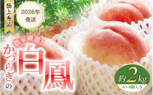 【先行予約】桃の王様 白鳳 <特秀品> 約2kg（6個~9個） 【2026年6月末頃～2026年7月末頃に順次発送予定】（お届け日指定不可）/ 桃 もも 白鳳 フルーツ 果物 くだもの 【kgr009A】 1973648 - 和歌山県紀美野町