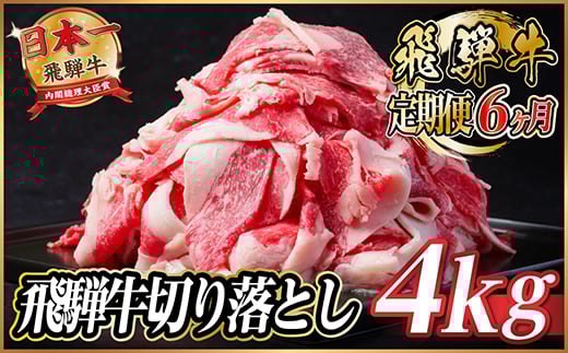＜毎月定期便＞飛騨牛　切り落とし　約4kg＜冷蔵便＞全6回【4055094】