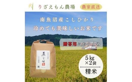 [新米予約受付]白米10kg「5kg×2袋」「贈答用にもおすすめです!」 令和7年産 南魚沼産こしひかり 魚野川流域 匠 雲蝶(たくみ うんちょう)＼生産農家直送/[2025年10月上旬より順次発送予定]
