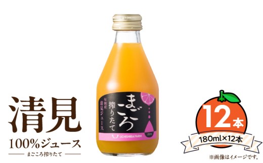 ZE6430_【まごころ搾りたて】清見 100%ジュース 180ml × 12本