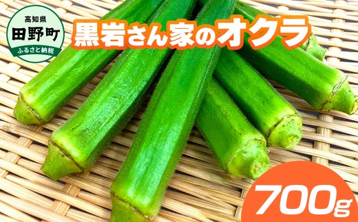 オクラ 700g 国産 おくら 国産オクラ 新鮮野菜 美味しい 野菜 厳選 新鮮 おかず 常温 配送 副菜 惣菜 煮物 朝どれ 詰め合わせ 取り寄せ グルメ お取り寄せグルメ お取り寄せ サラダ ふるさとのうぜい 返礼品 高知県 高知 4000円 黒岩さん家のオクラ
