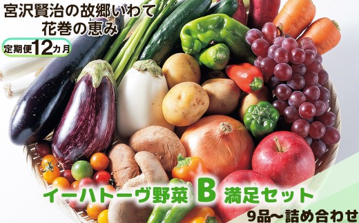 【定期便12ヶ月】イーハトーヴ野菜B 満足セット 9品～ 詰め合わせ 【1206】 306117 - 岩手県花巻市