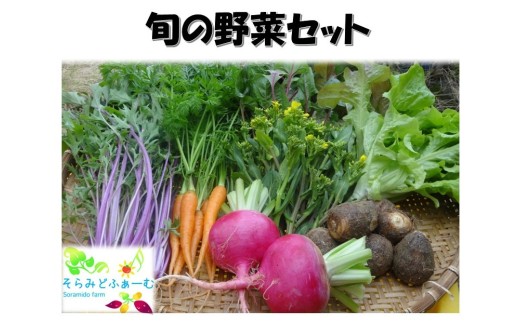 旬のお野菜8品詰め合わせ