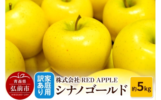 【25年11月発送】りんご【訳あり】家庭用 シナノゴールド 約5kg【レビューキャンペーン】