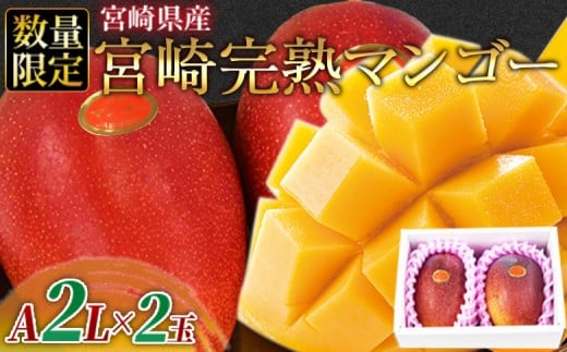 数量限定【2026年発送】<宮崎県産 完熟マンゴー A等級 2Lサイズ×2玉(合計約700g)>2026年4月上旬~6月末迄に順次出荷 525319 - 宮崎県国富町