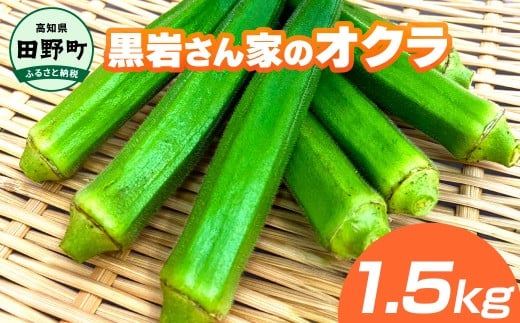 オクラ 1.5kg 1.5キロ おくら 国産 オクラ 新鮮野菜 美味しい 野菜 厳選 新鮮 おかず 常温 配送 副菜 惣菜 煮物 朝どれ 詰め合わせ 取り寄せ グルメ お取り寄せグルメ お取り寄せ サラダ 高知県 高知 6000円 黒岩さん家のオクラ
