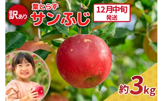 【2025年12月中旬発送】りんご 3kg 程度 葉とらず サンふじ 11月 12月 訳あり 青森産 りんご ふじ 【 サンふじりんご 葉とらずりんご リンゴジュースやお菓子作りにも くだものフルーツ果物林檎約3kg 】