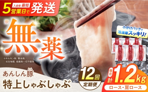 12回 定期便 あんしん豚 特上しゃぶしゃぶ セット 豚肉 ロース 国産 白川町 豚しゃぶ サラダ