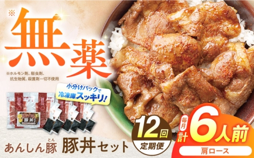 12回 定期便 あんしん豚 豚丼セット 豚肉 肩ロース 国産 白川町 国産 豚 お惣菜 時短 手軽