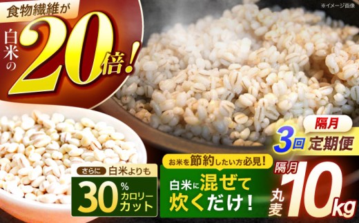 麦 むぎ 雑穀 雑穀米 麦ごはん 麦飯 麦みそ 食物繊維 長崎県産 米 こめ コメ ※