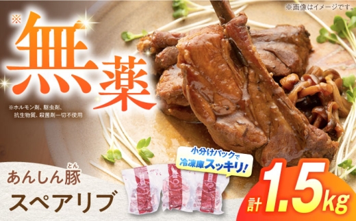 あんしん豚 スペアリブ 豚肉 小分け 国産 白川町 1.5kg 送料無料 バーベキュー BBQ キャンプ飯 おかず 肉 メイン
