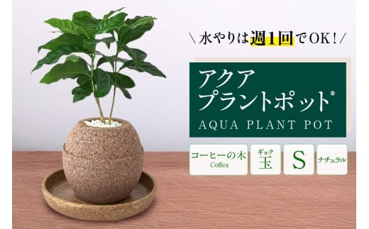 アクアプラントポット®　玉Ｓ 植木鉢コーヒ