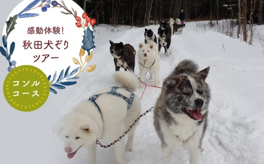 秋田犬の犬ぞりen01-00208