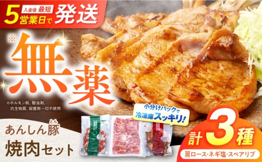 あんしん豚 焼き肉セット 豚肉 ロース 国産 白川町 おかず 焼くだけ 簡単調理 味付け キャンプ飯 簡単 肉 小分け 焼肉