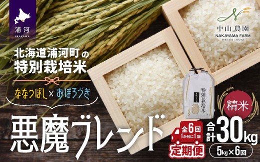 「ななつぼし」と「おぼろづき」の2品種をバランス良くブレンドした「悪魔ブレンド」を月に1回(全6回)の定期便でお届けします!