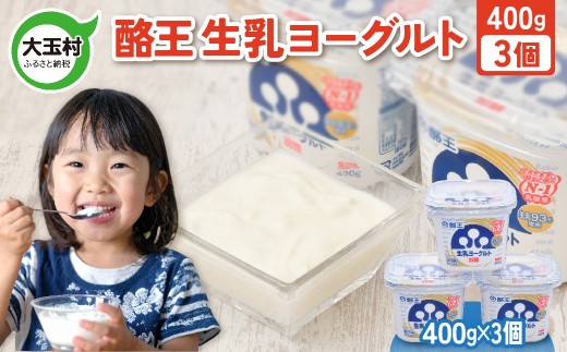 酪王 生乳 ヨーグルト 加糖 400g × 3個