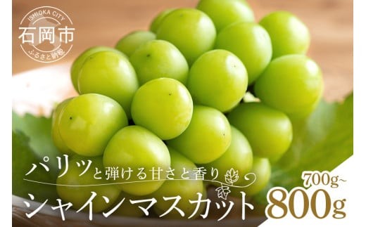 【 2025年 先行予約 】 シャインマス