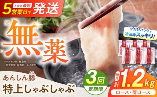 3回 定期便 あんしん豚 特上しゃぶしゃぶ セット 豚肉 ロース 国産 白川町 豚しゃぶ サラダ
