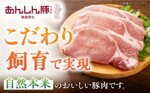 12回 定期便 あんしん豚 特上しゃぶしゃぶ セット 豚肉 ロース 国産 白川町 豚しゃぶ サラダ