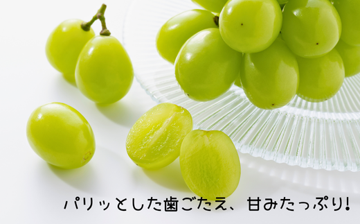 果汁たっぷり、はじけるおいしさです！