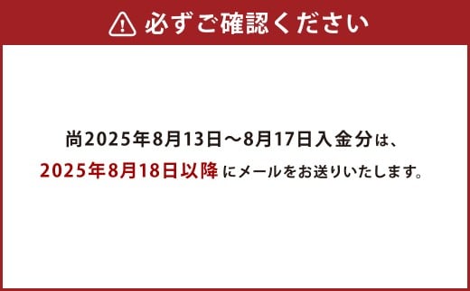 【熊本県】JTB ふるさと 旅行 クーポン（Eメール発行） 30,000円分