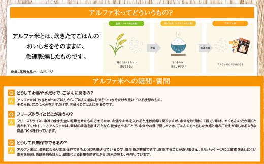宮城県大崎市のふるさと納税 備えて安心、食べて満足｜尾西の携帯おにぎり【24個入り】（非常食・保存食・キャンプにも）