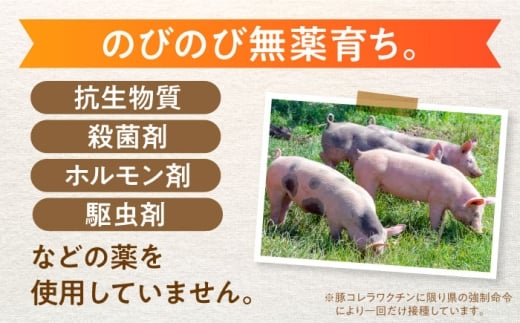 あんしん豚 ブロックセット  豚肉 ロース モモ カタ 詰合せ 国産 白川町