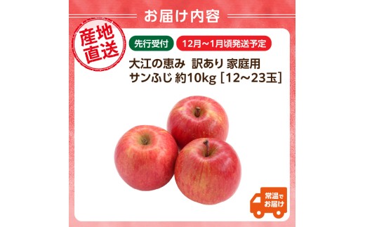 山形県大江町のふるさと納税 大江の恵み 訳あり 家庭用サンふじ約10kg(12～23玉)【2025年12月中旬発送予定】 【003-030】