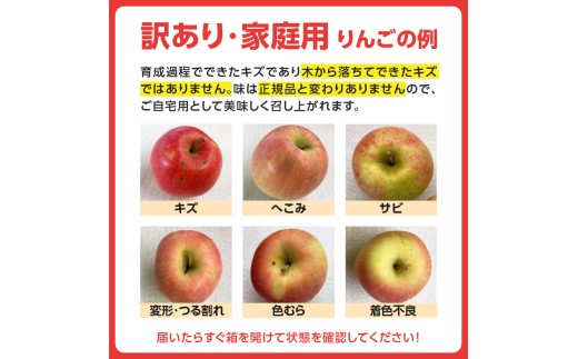 山形県大江町のふるさと納税 大江の恵み 訳あり 家庭用サンふじ約10kg(12～23玉)【2025年12月中旬発送予定】 【003-030】