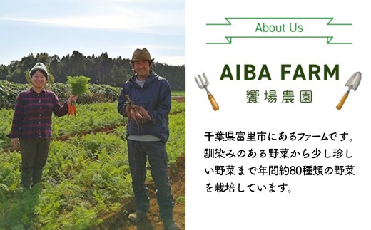千葉県富里市のふるさと納税 【10ヶ月 定期便】【栽培期間中農薬不使用】農家直送！季節の新鮮野菜「９品」詰め合わせセット AIBA FARM TML004 / 野菜セット 無農薬 野菜 千葉県 富里市 直送野菜 お野菜セット 旬野菜 季節野菜 農家直送 採れたて とれたて やさい 詰め合わせ セット ヤサイ  旬の野菜 季節の野菜 産地直送 詰め合わせ おまかせ 新鮮 農薬不使用