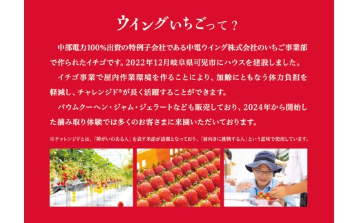 岐阜県可児市のふるさと納税 いちごジャム　Jam the Berry×ウイングいちご【 岐阜県 可児市 果物 加工品 フルーツ ジャム 果実 丸ごと使用 職人 香り 酸味 甘み 果肉 ヨーグルト いちごミルク お酒 アイス ドレッシング お取り寄せ グルメ 】