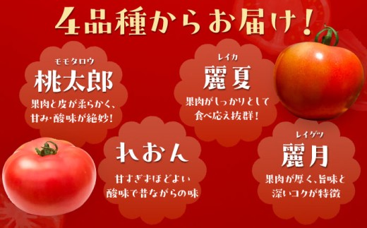 訳あり大玉トマト(ご家庭用)4kg