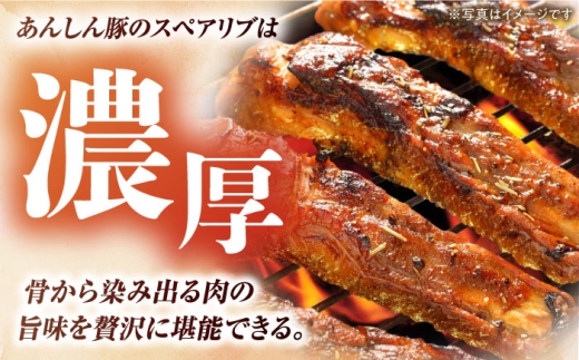 6回 定期便 あんしん豚 スペアリブ 1.5kg 豚肉 小分け 国産 白川町 国産 豚 