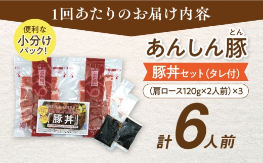 12回 定期便 あんしん豚 豚丼セット 豚肉 肩ロース 国産 白川町 国産 豚  お惣菜 時短 手軽