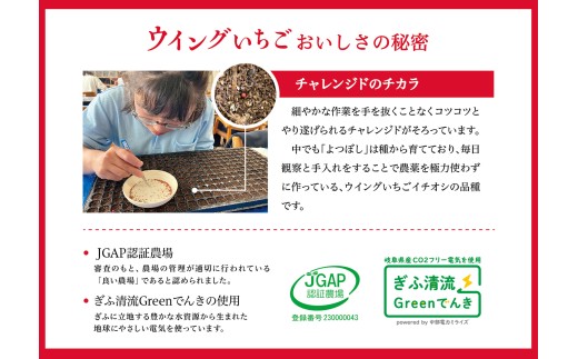 岐阜県可児市のふるさと納税 いちごジャム　Jam the Berry×ウイングいちご【 岐阜県 可児市 果物 加工品 フルーツ ジャム 果実 丸ごと使用 職人 香り 酸味 甘み 果肉 ヨーグルト いちごミルク お酒 アイス ドレッシング お取り寄せ グルメ 】