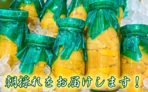 岩手県大槌町のふるさと納税 【令和8年発送】【4年連続 ランキング1位】無添加『生うに』 天然 岩手三陸産 朝獲れ ミョウバン不使用 150g×2本【2026年4月下旬～8月発送】【15】