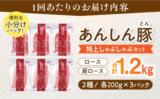 12回 定期便 あんしん豚 特上しゃぶしゃぶ セット 豚肉 ロース 国産 白川町 豚しゃぶ サラダ