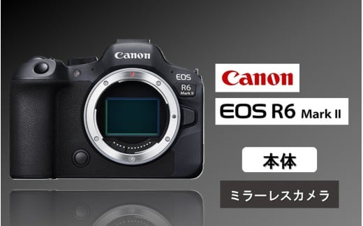 【Canon】 キヤノン ミラーレス カメラ EOS R6 MarkⅡ ボディ キャノン 一眼 家電_0036C