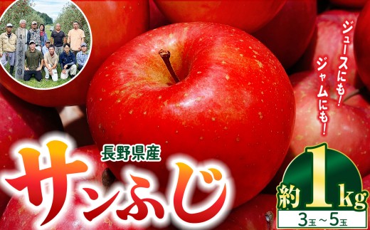 【林檎の名産地】信州松本梓川産　サンふじ 1kg(3～5玉)｜ふるさと納税 松本市 サンふじ りんご 林檎  果物 フルーツ 信州 美味しい  2233016 - 長野県松本市