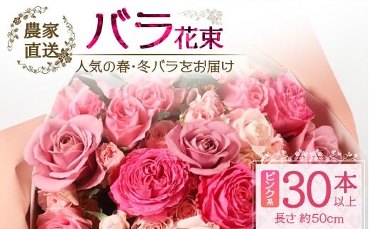 【先行予約】【人気の春・冬薔薇をお届け】ばら農家直送！バラ花束30本以上お届け(ピンク系) 【ギフト対応可】│ローズ 新鮮 花 フラワー 花束 ばら 薔薇 バラ 誕生日 記念日 結婚祝い ギフト プレゼント お祝い 贈り物 贈答 鹿児島県 南大隅町 富田バラ園 TB-14 2226655 - 鹿児島県南大隅町