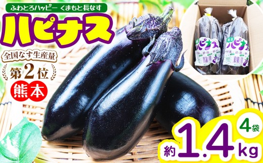 ハピナス 玉名市産 長なす 約 1.4㎏（300ｇ～400ｇ×4袋）｜ 野菜 やさい 茄子 なすび とげ無 種少 薄皮 季節野菜 袋詰め 小分け 熊本県 玉名市