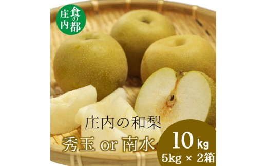 食の都庄内　庄内の和梨【秀玉or南水】約10kg※9月中旬ごろより順次配送 2014780 - 山形県三川町